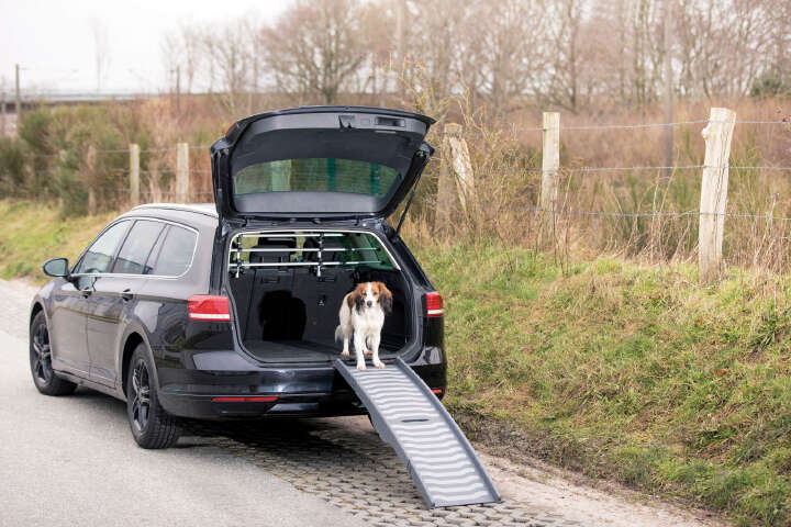 TRIXIE 3-fach Klapp-Rampe